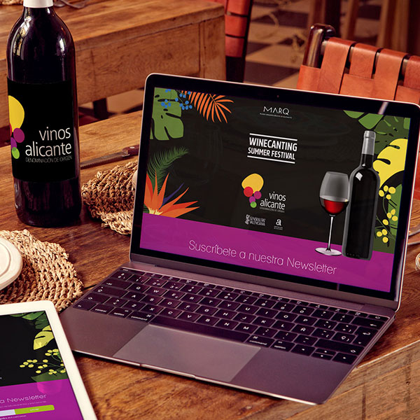 Vinos de Alicante - Desarrollo web y marketing online