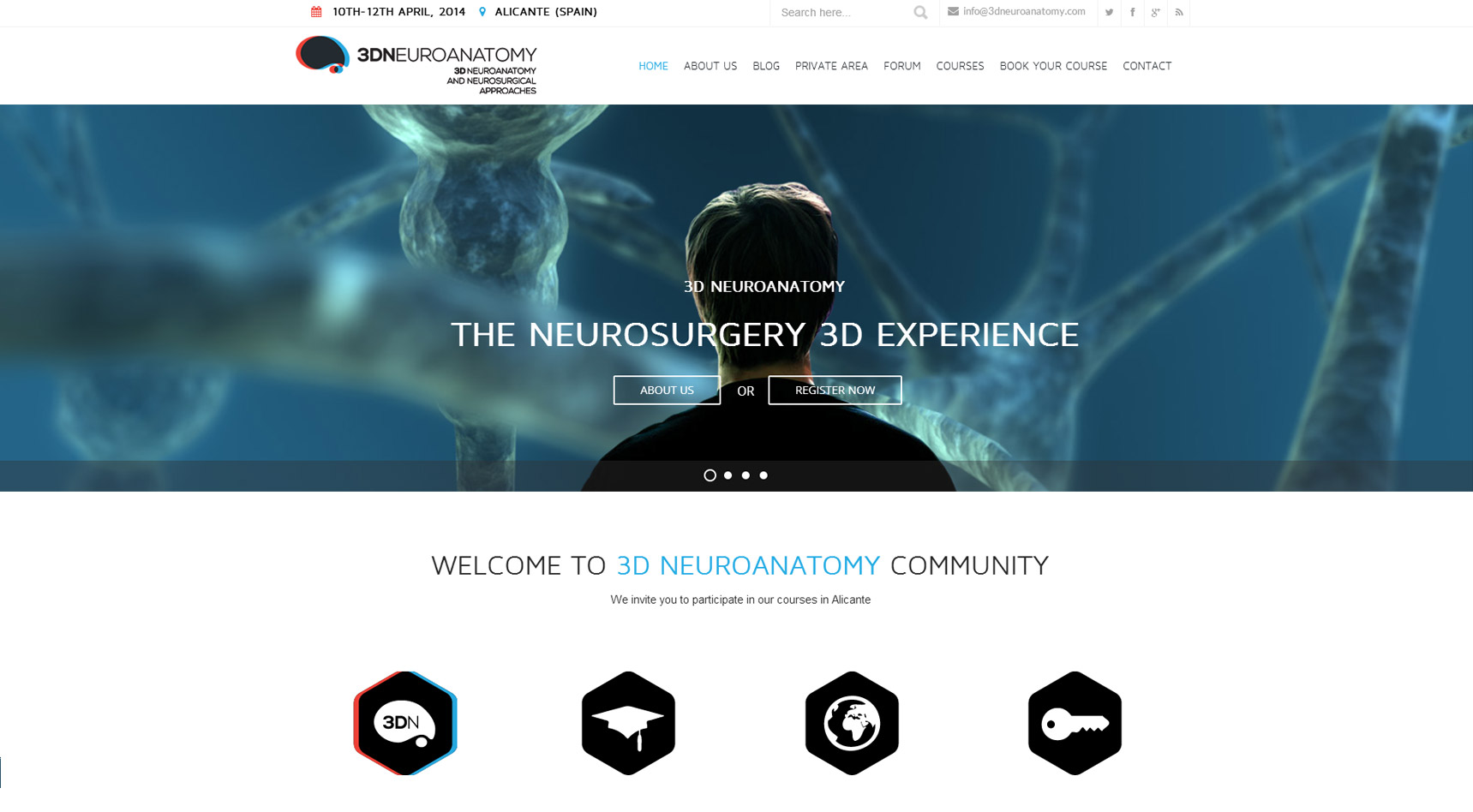 Diseño de páginas web Alicante 3D Neuroanatomy Coodex