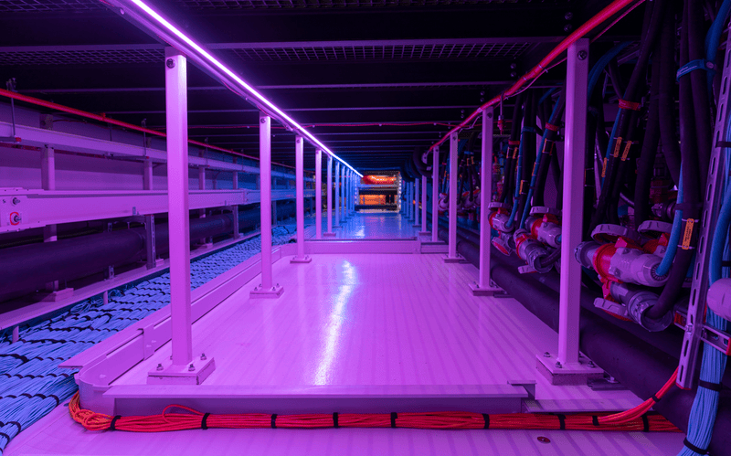 Imágenes © Barcelona Supercomputing Center